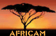 africam